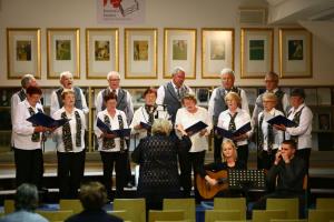 revija JSKD OI Trebnje (17)